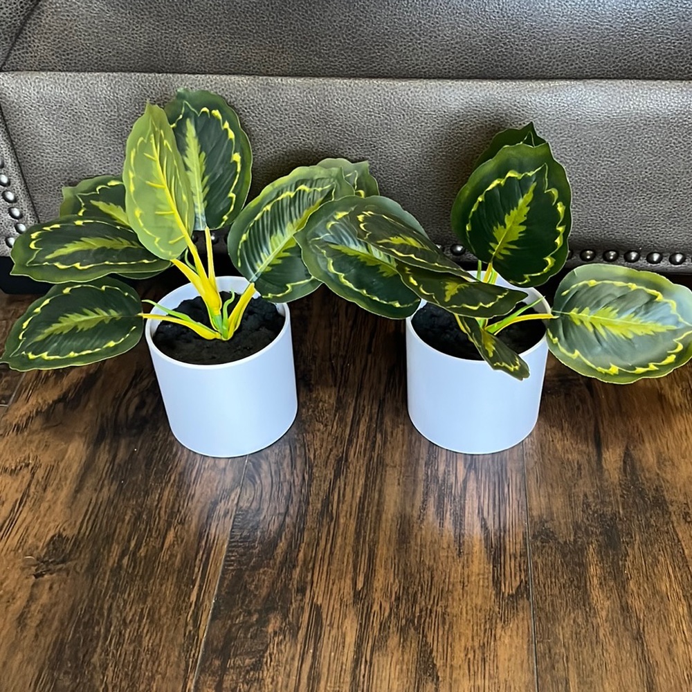 Faux Plants